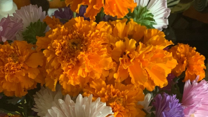 Psihologa lekcijas rudens