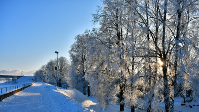 Par kuponu iegādi pārtikas preču iegādei skolēniem