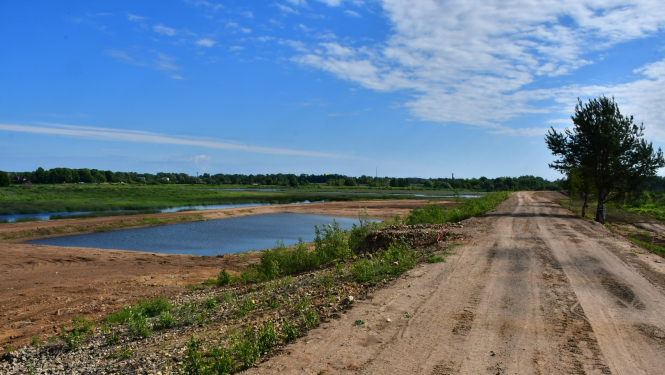 Fitoremediācijas lauki