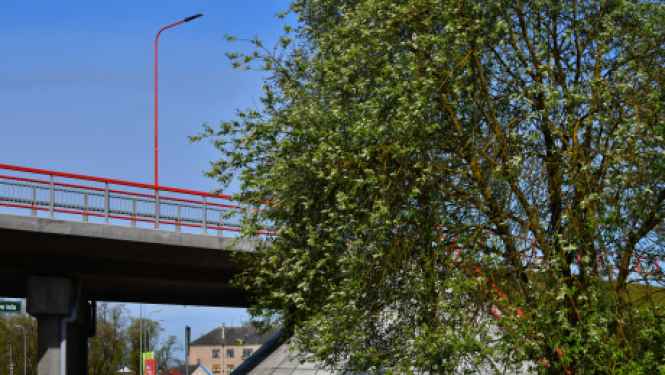 Apstiprina Medību koordinācijas komisiju