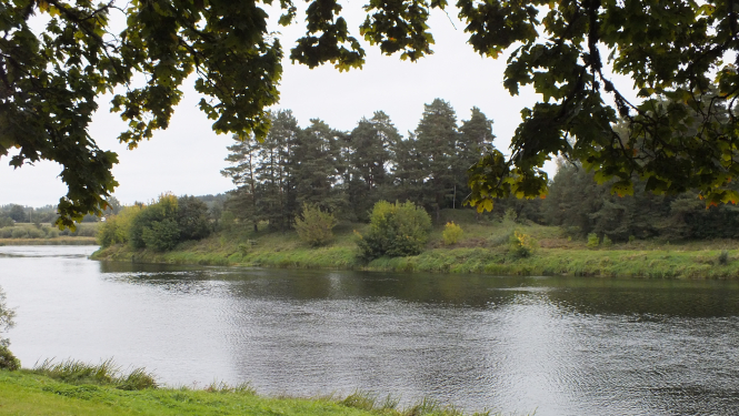 Atzīmējot Baltu vienības dienu, Daugavas krastā iepretī Kaupres pilskalnam tika ierunāts videovēstījums skolēniem. FOTO: Valdis Aleksandrovs