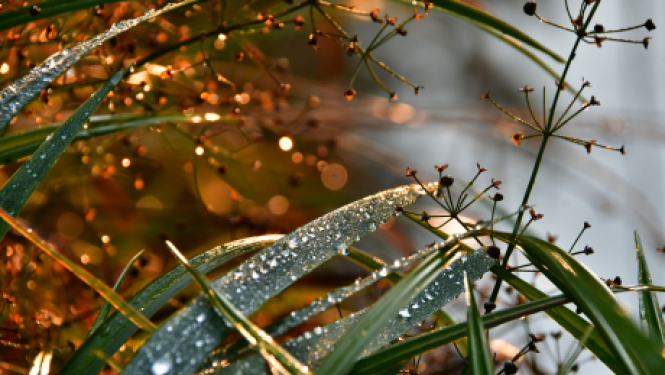 Pašvaldības nedēļas plāns 14.09. -20.09.2020