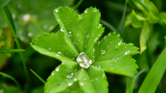 21.maijā aicina uz bezmaksas lekciju “Stress un veselība”                                                 