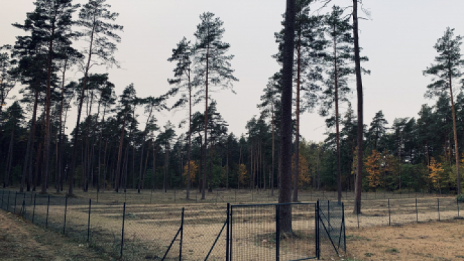 Jēkabpils dzīvnieku kapsēta no 1.oktobra uzsāk darbību