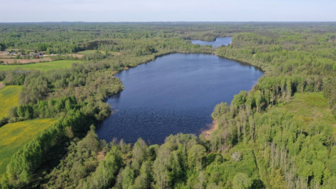 Dabas liegums KLAUCĀNU un PRIEKULĀNU EZERI. Foto: Juris Soms