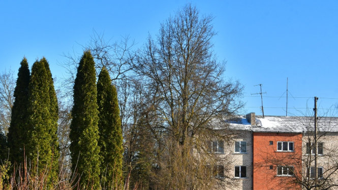 Daudzdzīvokļu ēka Salas pagastā