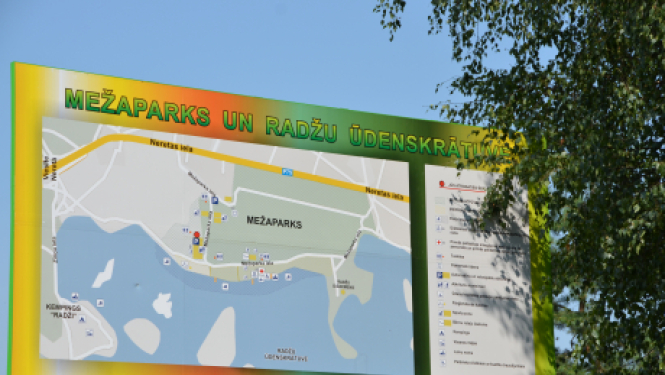 10.oktobrī uz sportiskām aktivitātēm aicina biedrība "Dzīvības koks"