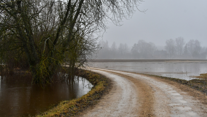 Slapjš zemes ceļš, fonā applūdis lauks