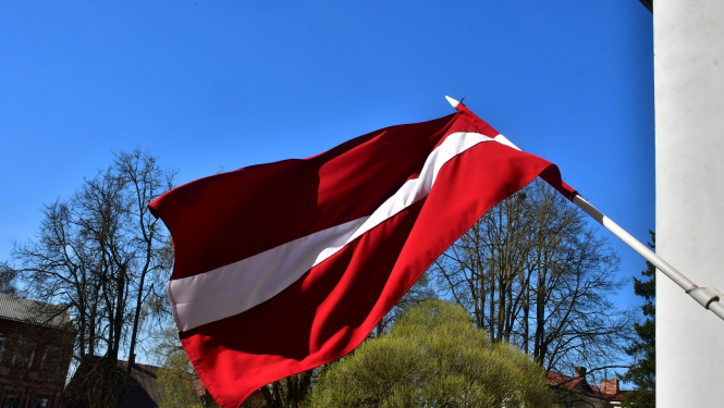 Latvijas karogs un koki