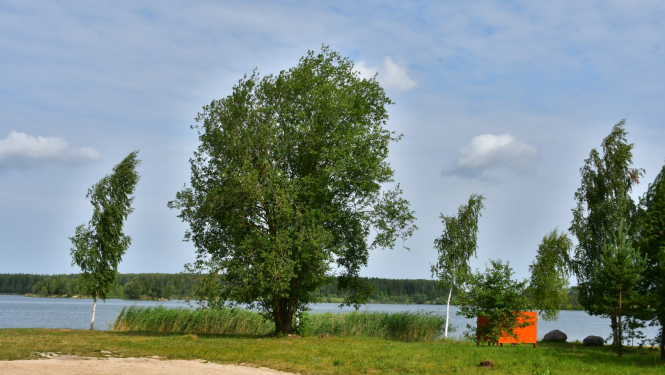 Labiekārtota Brodu pludmale Radžu ūdenskrātuvē