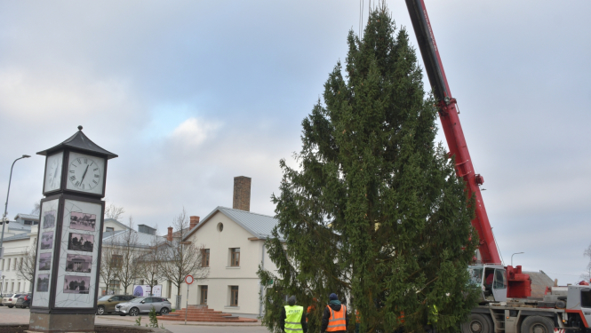 Ziemassvētku egle Vecpilsētas laukumā