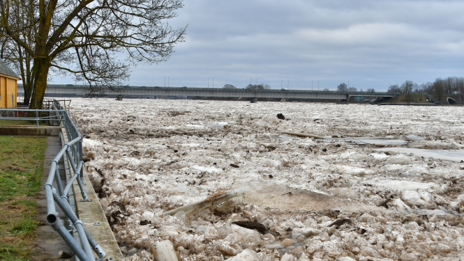 Ilustratīvi Daugava pie Jēkabpils , labais krasts