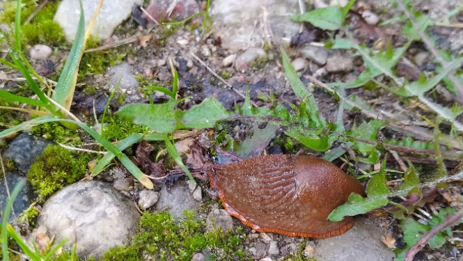 (Foto: Iveta Jakubāne)