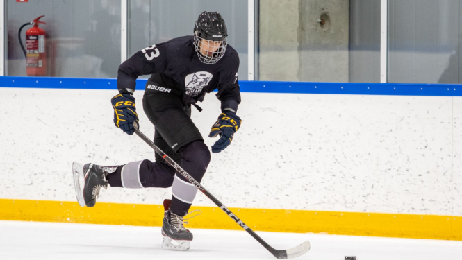 Hokeja spēlētājs "Baltu lūši" komanda