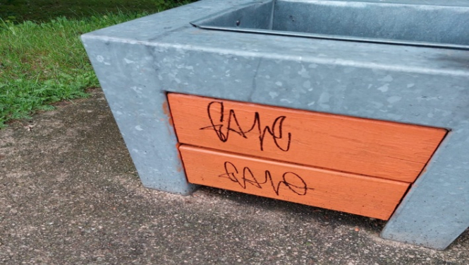 Apķēpāta soliņa foto