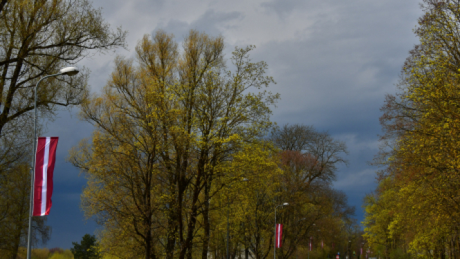 17. maijā sākas skolēnu elektroniskā reģistrācija dalībai NVA vasaras nodarbinātības pasākumā