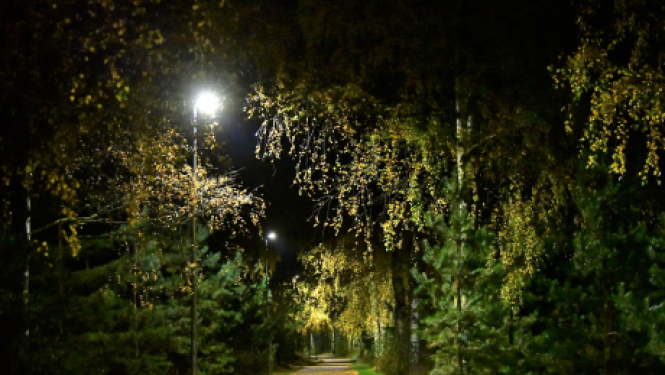 Izbūvēts apgaismojums Mežaparka veloceliņā