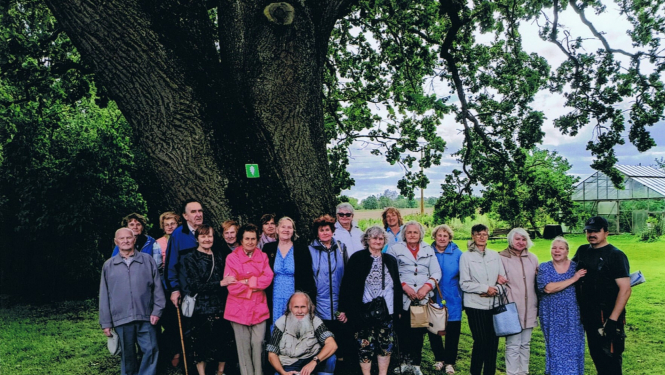 Jēkabpils invalīdu biedrība pie dižozola 
