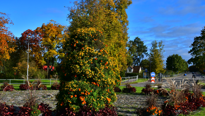 Satiksmes rotācijas aplis Vienības ielā, Jēkabpilī