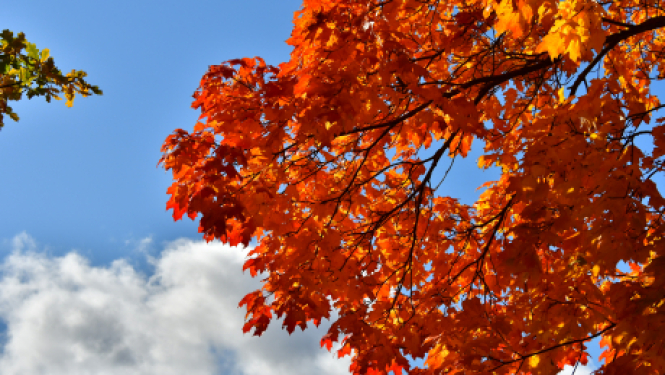 Pašvaldības nedēļas plāns 12.10.-18.10.