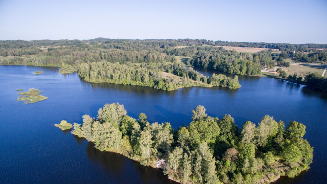 Sēlpils pilskalns un viduslaiku pilsdrupas uz salas Daugavā