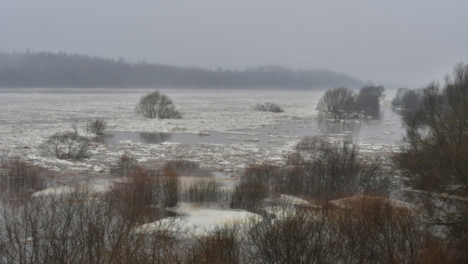 Upe Daugava palu laikā