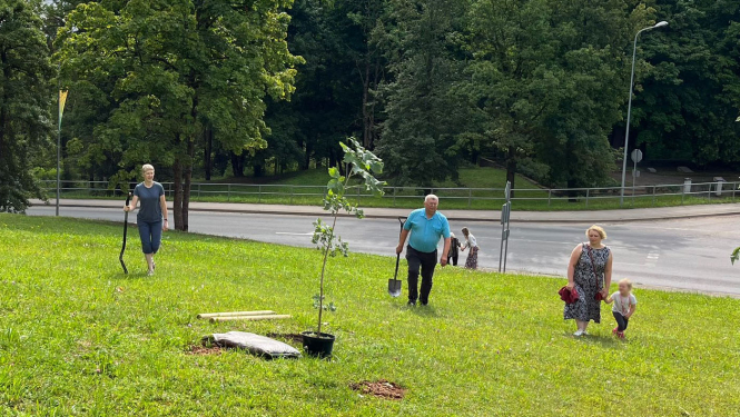 Meza dienas Aknīstē