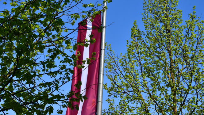 Latvijas karogs un koki