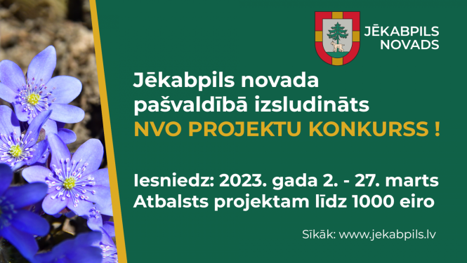 Posteris NVO projektu konkursam