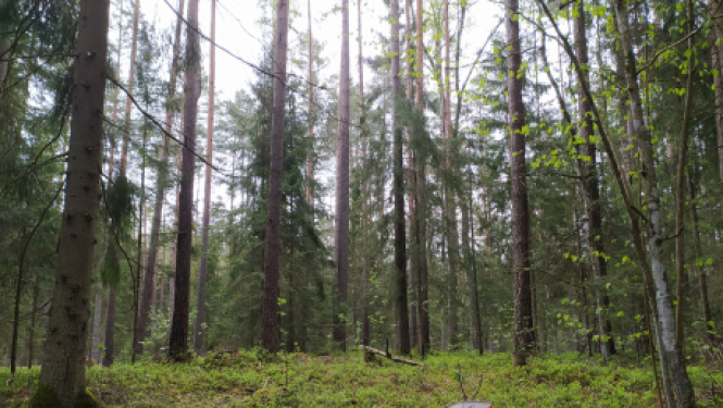 Aprīlī sāksies “Orientieris 2021” jaunā sezona