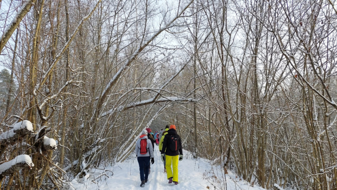 Personas dodas pārgājienā pa sniegotu meža celiņu