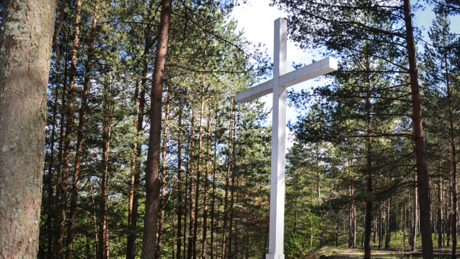 attēls ar ilustratīvu nozīmi