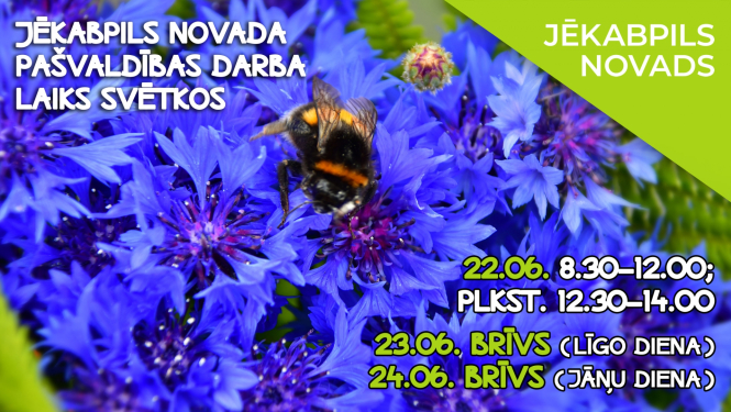 Teksts uz attēla ar bitīti vai kameni zilās rudzupuķēs