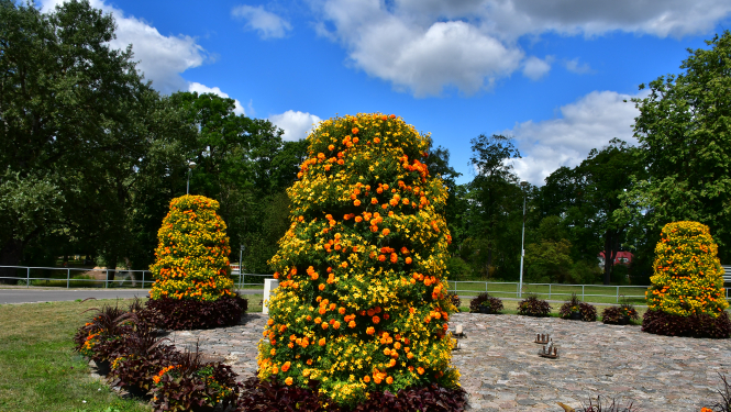 Jēkabpils pilsēta, satiksmes aplis Vienības ielā
