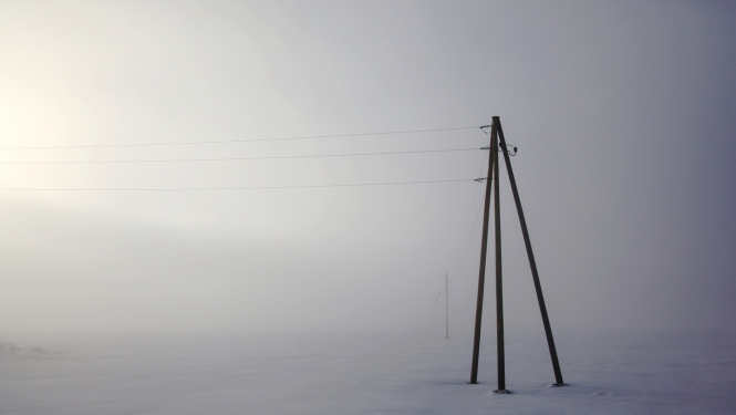 sadales tīkls - ilustratīvs foto