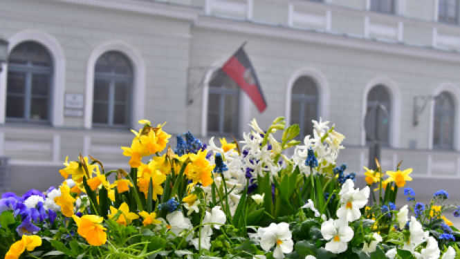 Par skolu mācību procesu klātienē dome atkārtoti lems pēc Lieldienām