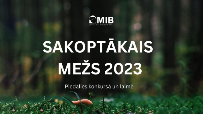 Teksts uz meža bildes fona