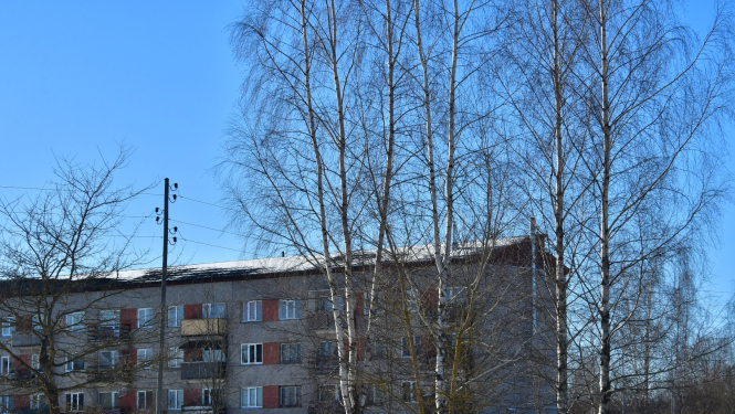 Daudzdzīvokļu ēka Salas pagastā