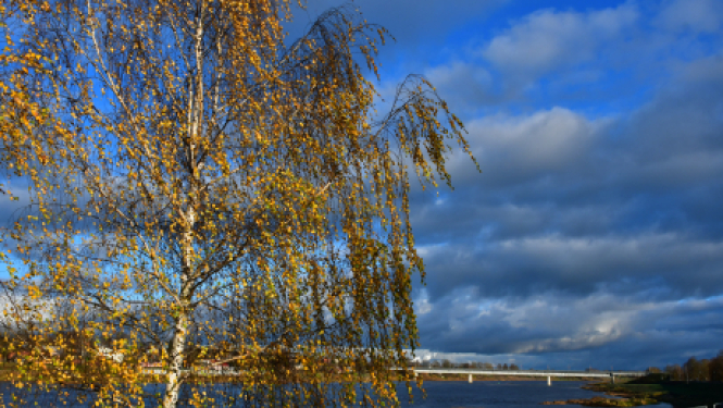 No 9. novembra Latvijā tiek izsludināta ārkārtējā situācija