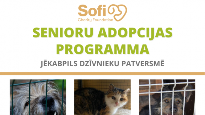 Suņi un kaķi- seniori