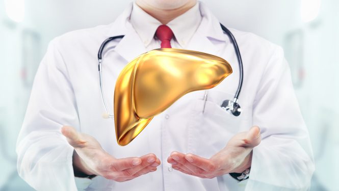 Vizualizācija - daktera rokas tura gaisā spīdošas aknas