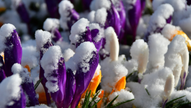 Jēkabpils 2.vidusskolas ēdināšanas uzņēmuma darbiniekam konstatē pozitīvu Covid-19 testu