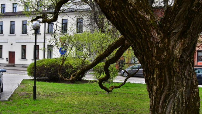 Ēka Rīgas iela Jēkabpilī