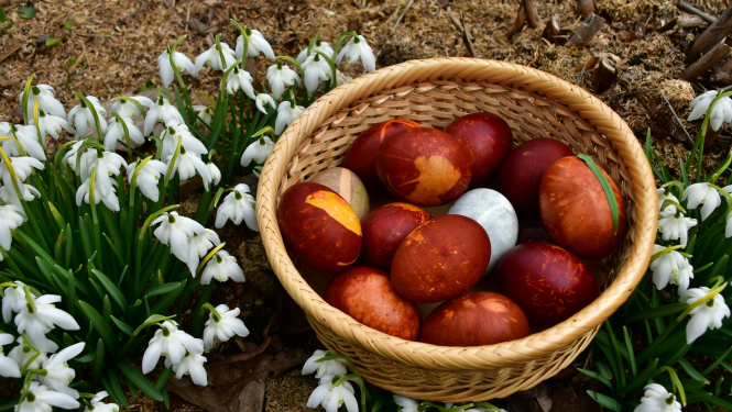 Lieldienu olas un sniegpulkstenīši