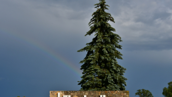 Sākas pieteikšanās attālinātām mācībām ES fondu projektā