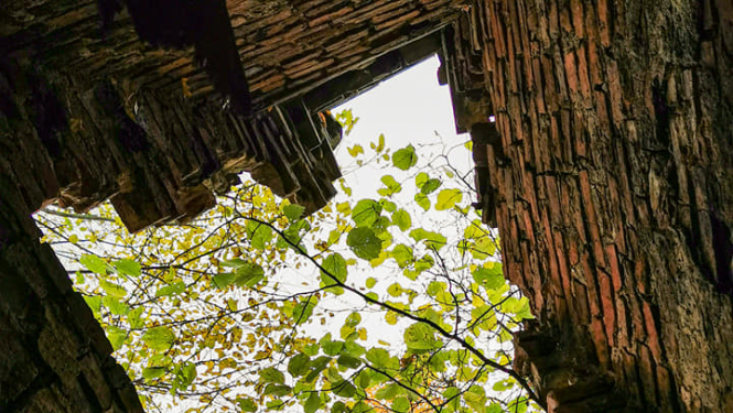 Ilustratīvs dabas foto