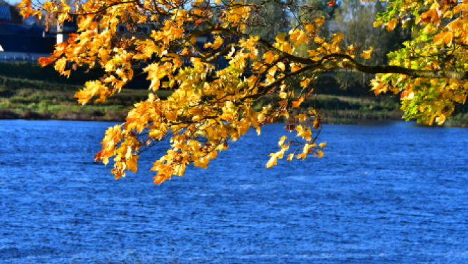 Biedrībai „Jauniešu klubs “13.pirmdiena”” realizēts pilotprojekts "DZĪVES PRASMJU LABORATORIJA"