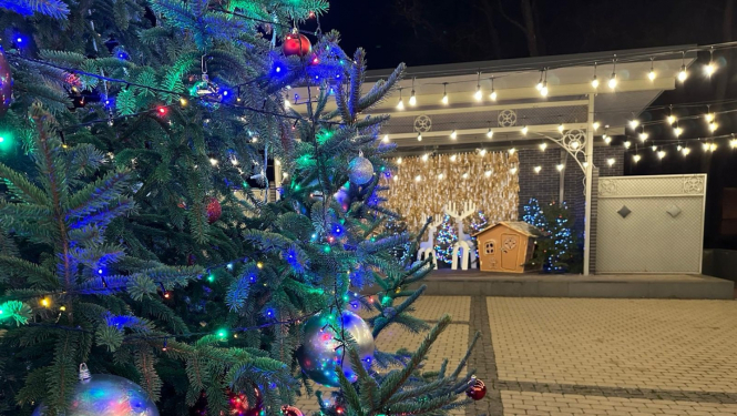 Kena parks, Ziemassvētku eglīte