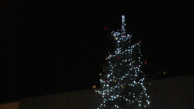 Eglīte Salā, Salas pagastā