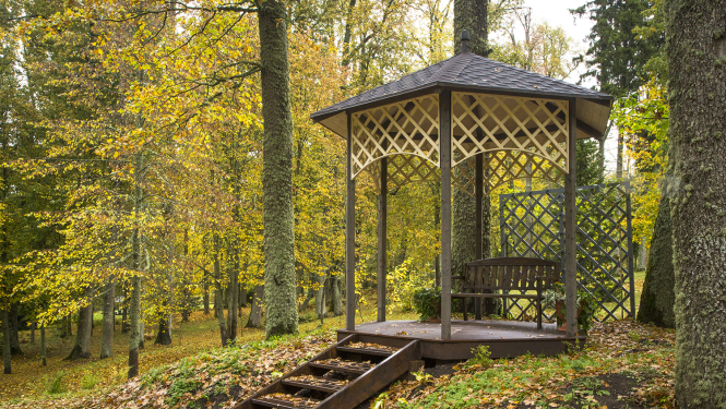 Lapene Zasas muižas parkā